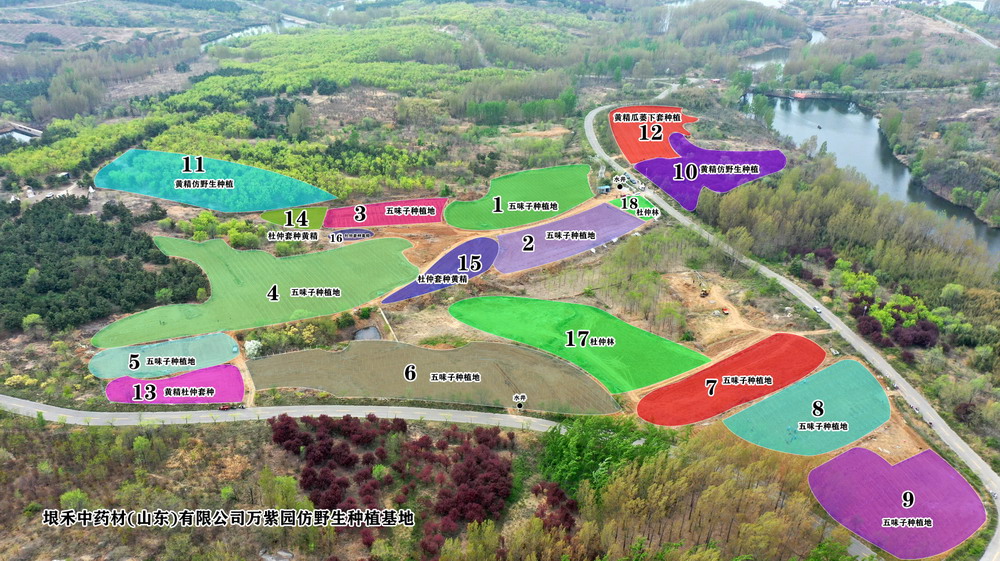 五味子黄精航拍图